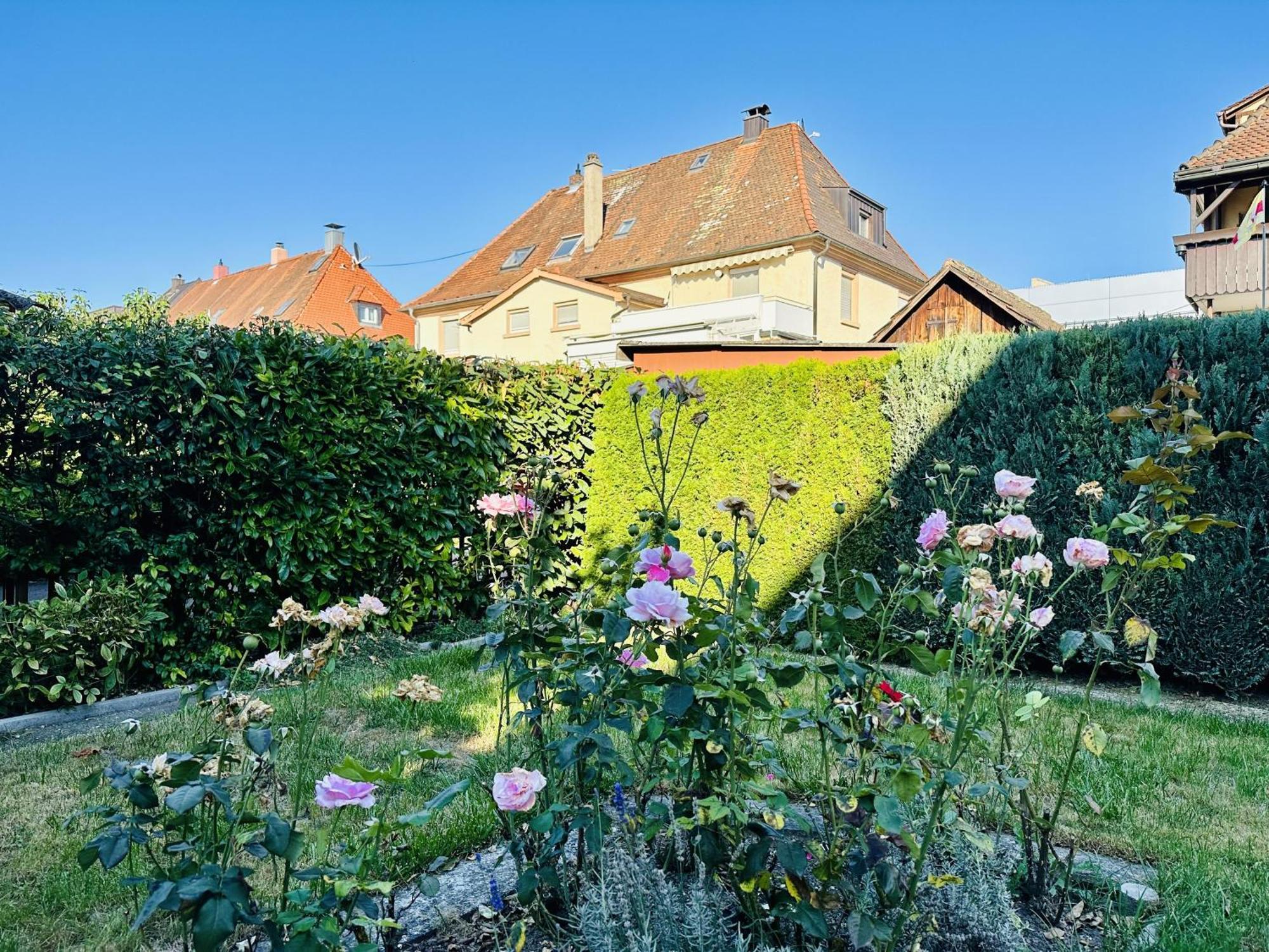 Bodensee-Haus Istayunixi Seenaehe-Terrasse-Garten-Netflix-Parkplatz رادولفزيل ام بوندنز المظهر الخارجي الصورة